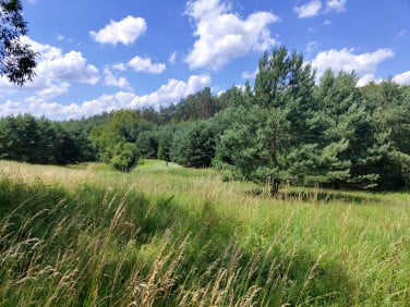 Działka rolno-budowlana Laskowice