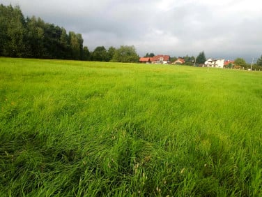 Działka budowlana Lipowa