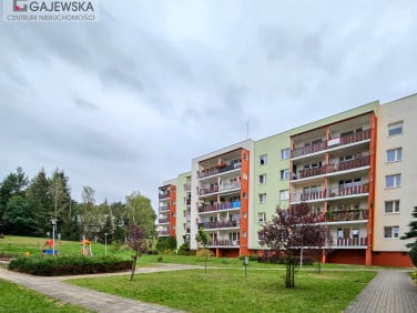 Mieszkanie Piła