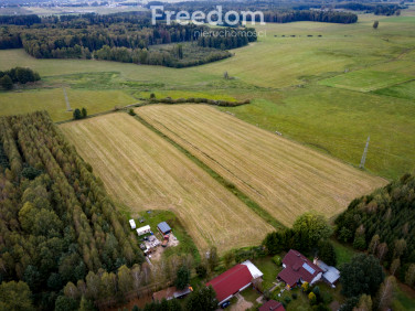 Działka rolna przy lesie Wrzesina