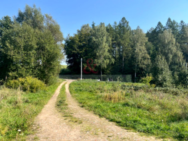 Działka budowlana Pierszczewko