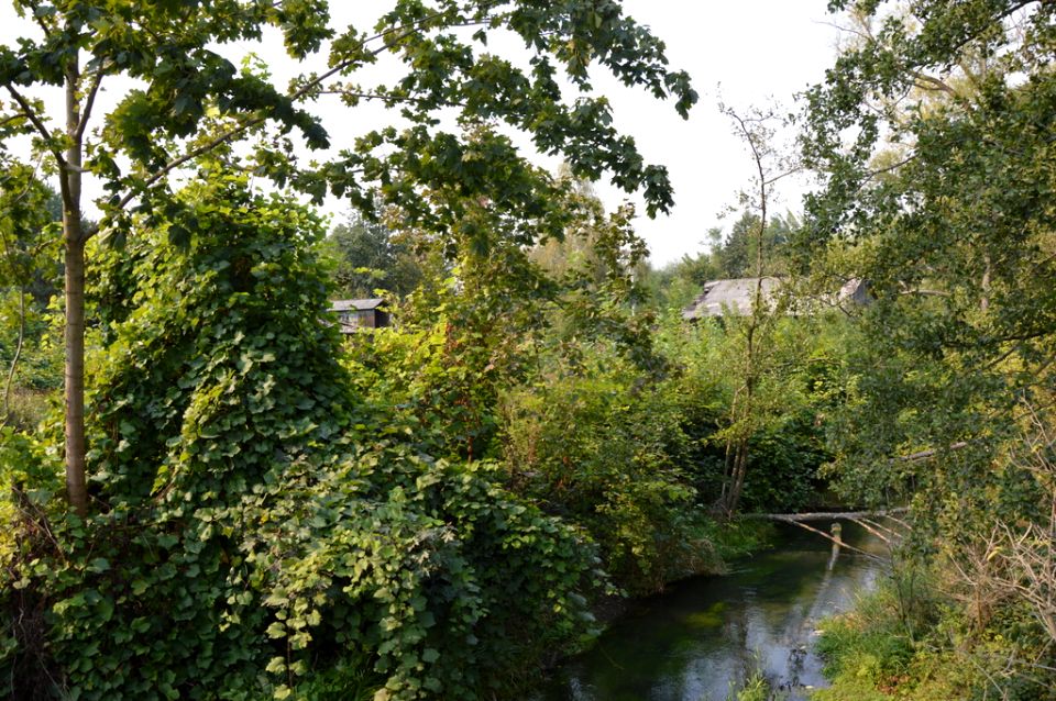 Działka budowlana Urzędów