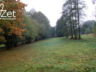 Działka Zwierki