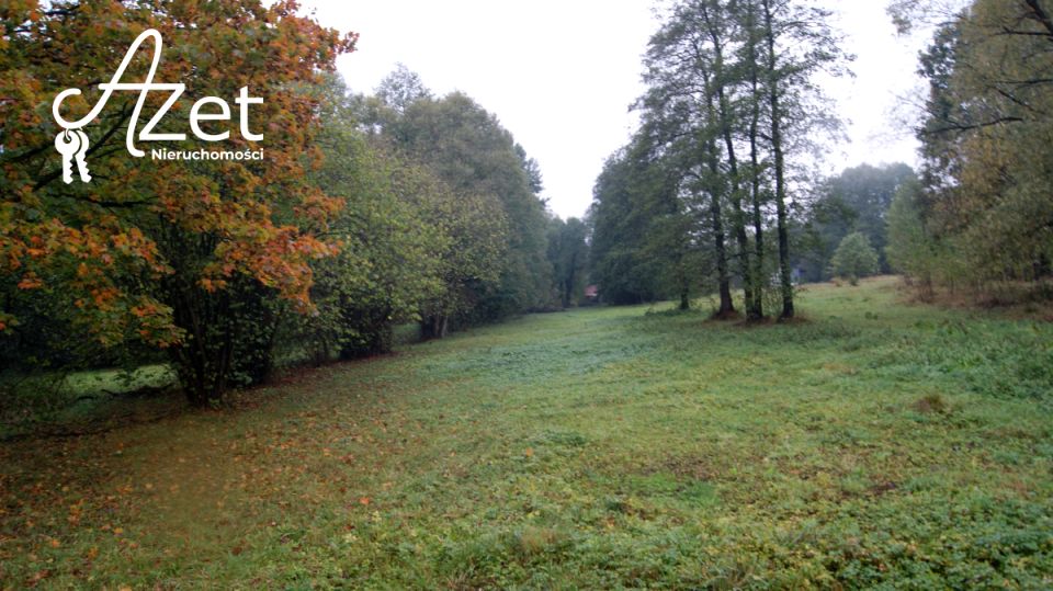 Działka Zwierki