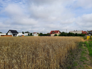 Działka Borek Wielkopolski