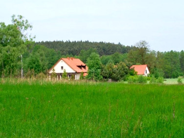 Działka Pąchy