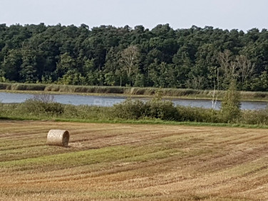 Działka inwestycyjna Wielka Wieś