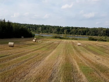 Działka inwestycyjna Wielka Wieś