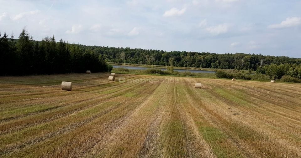 Działka inwestycyjna Wielka Wieś