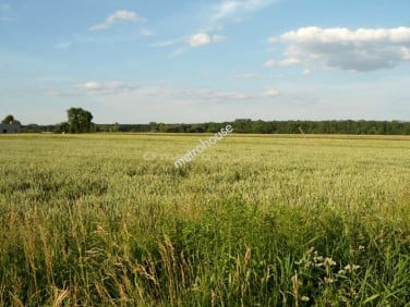 Działka budowlana Poznań