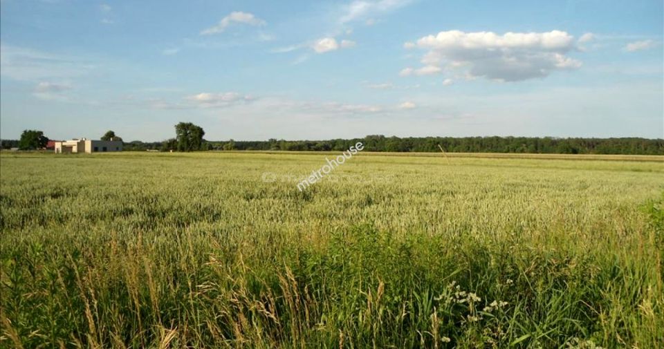 Działka budowlana Poznań