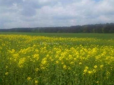 Działka nad jeziorem