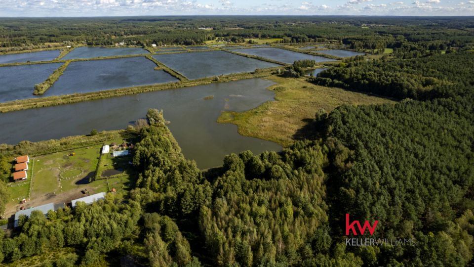 Działka rolna Trzciel-Odbudowa