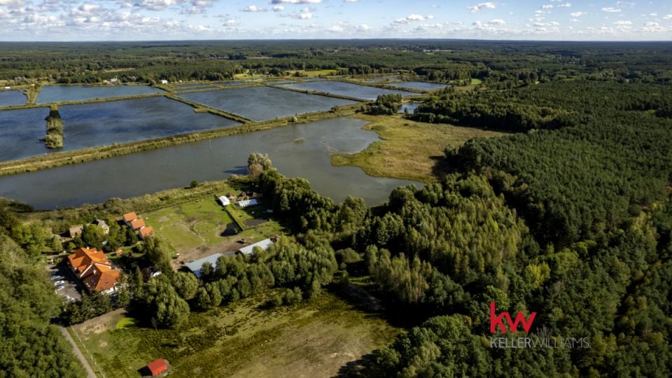 Działka rolna Trzciel-Odbudowa