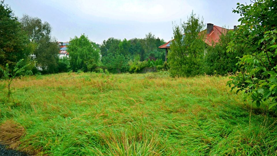 Zdjęcie 3