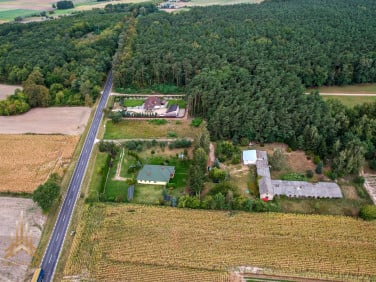 Działka Topólno
