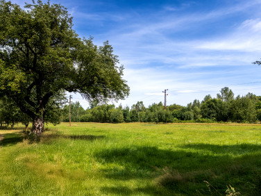 Działka budowlano-rolna Rębiszów