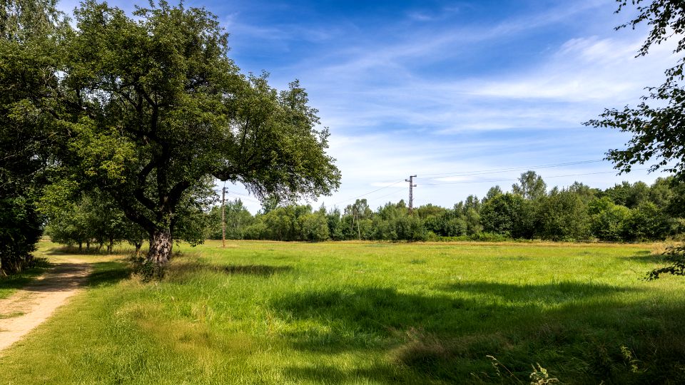 Działka budowlano-rolna Rębiszów