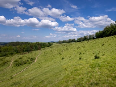 Działka budowlano-rolna Golejów sprzedam