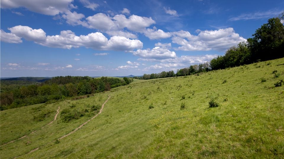 Działka budowlano-rolna Golejów sprzedam