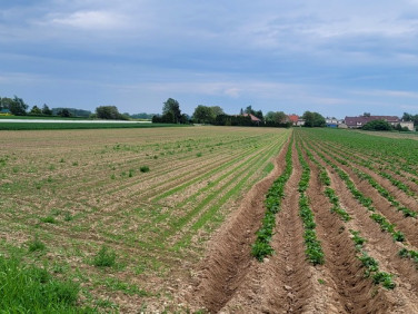 Działka usługowa Oleśnica