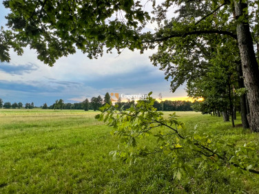 Działka budowlana Górsk sprzedam