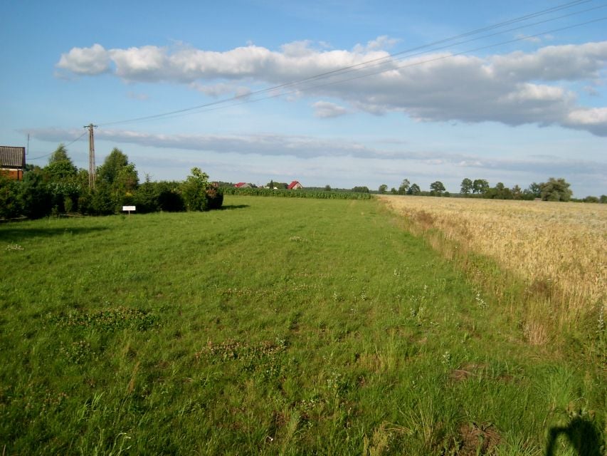 Działka budowlana Kolonia Wola Szydłowiecka