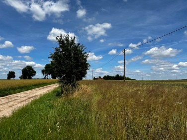 Działka inna Dolne Pole