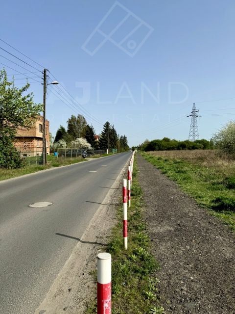 Zdjęcie 3