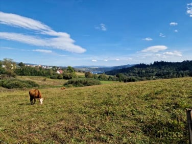 Działka inwestycyjna Falsztyn