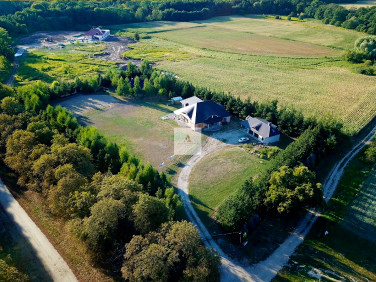 Dom Sadowice sprzedaż