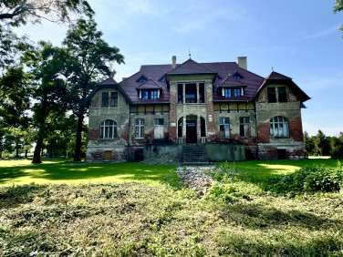 Dom Gałązki Małe sprzedaż