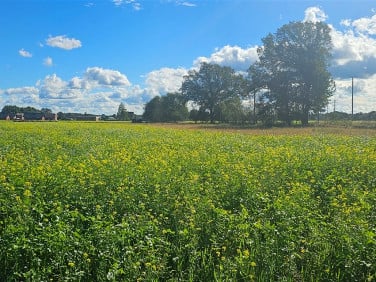 Działka budowlana Antoniów sprzedam