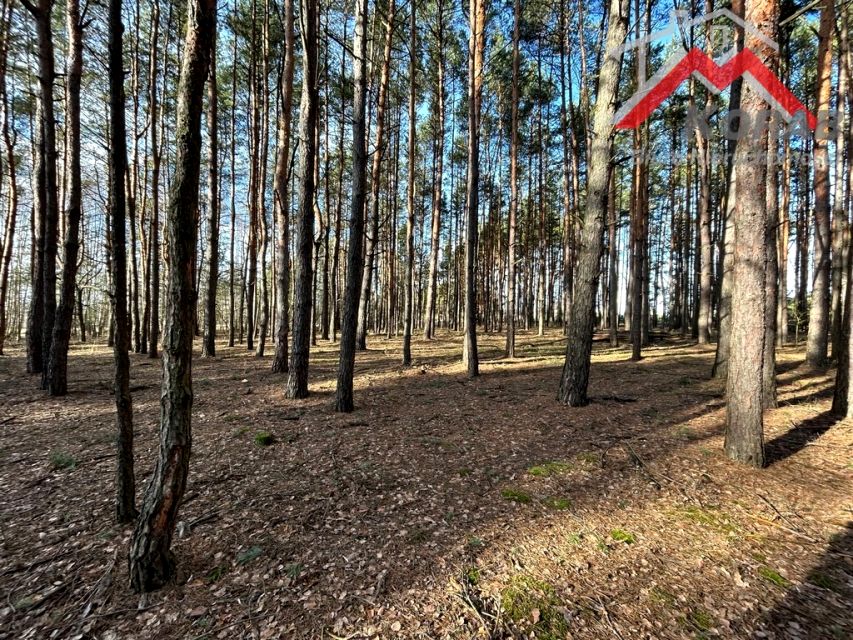 Działka budowlana Stary Żabieniec