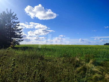 Działka budowlana Krasnołęka sprzedam