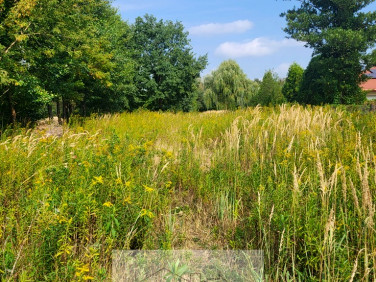 Działka budowlana, ul. Żeromskiego