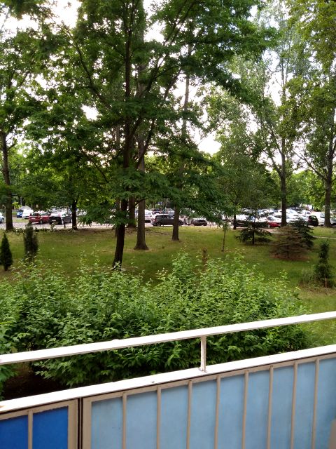 Mieszkanie Poznań wynajem