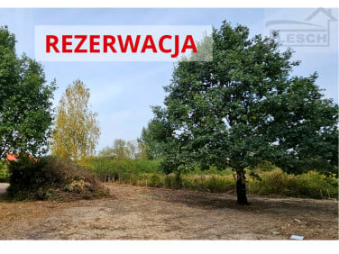 Działka przy lesie