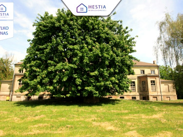 Budynek użytkowy Strzyżno sprzedaż