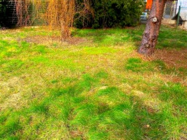 Działka budowlana Granica sprzedam