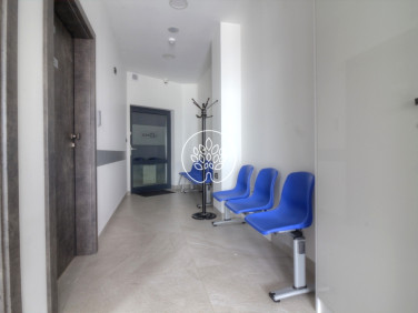 Lokal Toruń wynajem