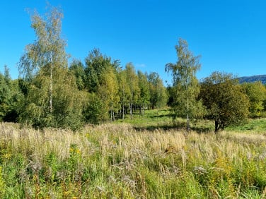 Działka budowlana Bielsko-Biała