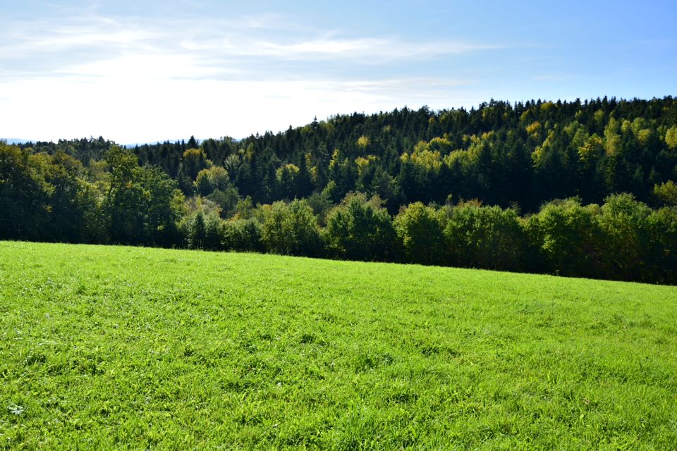 Działka budowlana sprzedam