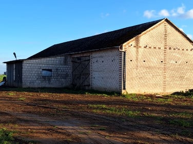 Działka budowlana Bogucin sprzedam