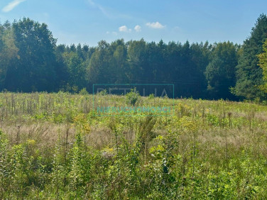 Działka Budy Mszczonowskie