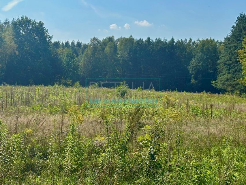 Działka Budy Mszczonowskie