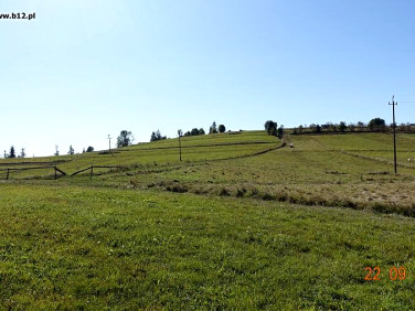 Działka Czarny Dunajec