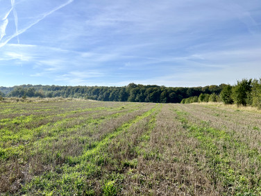 Działka budowlana Tarnowskie Góry