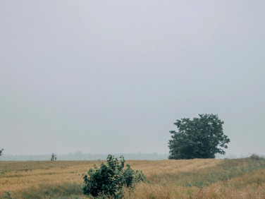 Działka rolna Kowale Oleckie sprzedam