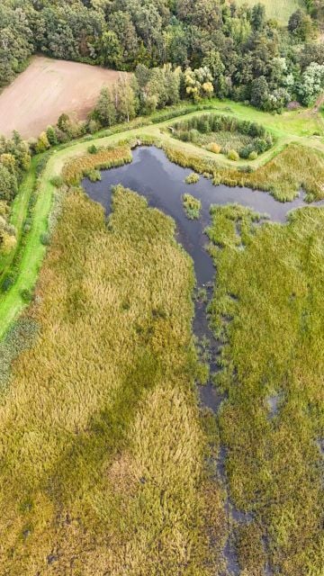 Działka inna Chróścina